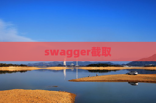 swagger截取